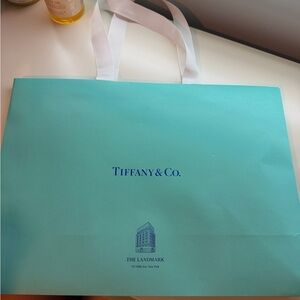 Tiffany & Co. Aqua Blue Gift Bag
